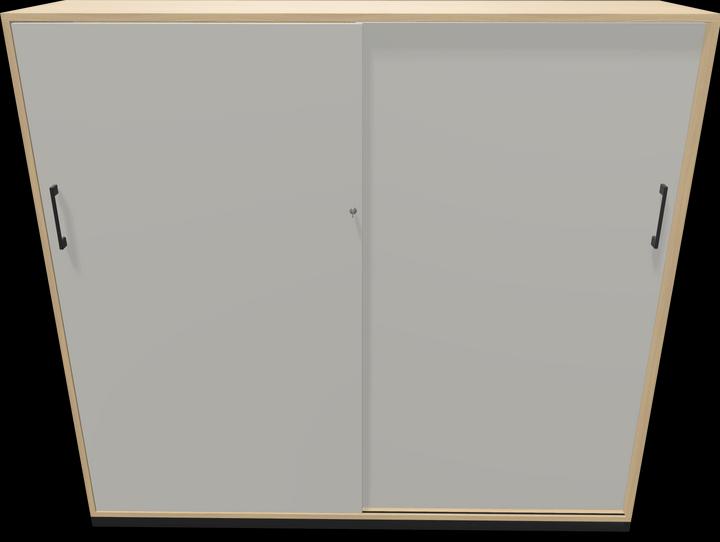 Immagine prodotto Narbutas Scelta armadio ad ante scorrevoli (160 x 40 x 146,5 cm)