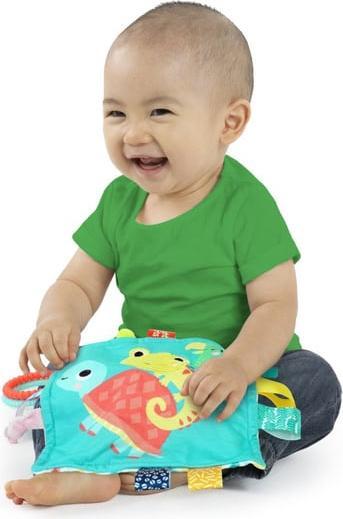 Actual product image Bright Starts Fuzzy Feelies, 12619