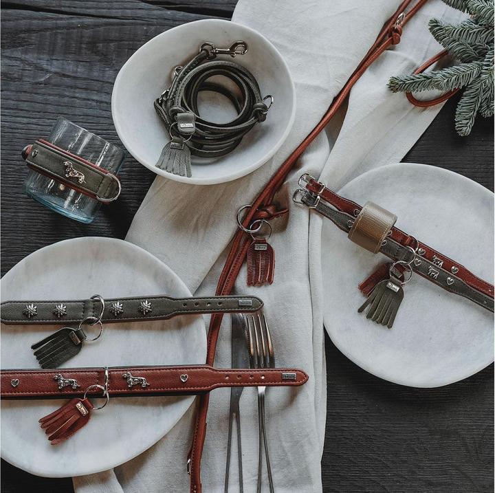Image du produit Hunter Collier München Mini 30/XS, cuir de boeuf, vert/cognac (XS, Chien, Général)