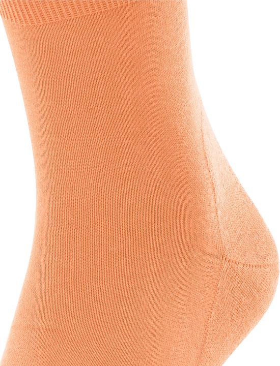 Produktbild Falke Run Baumwollsocken (Einzelpack, 35 - 36)