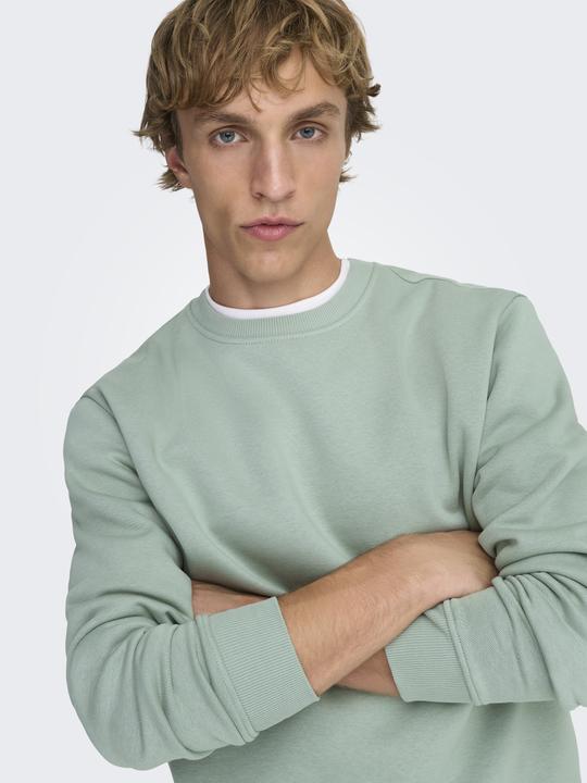 Produktbild Only & Sons Onsconnor Life Reg Crew Neck Sweat Noos (M)