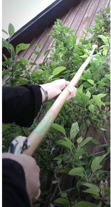 Actual product image Preisig Fruit Picker