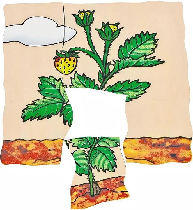 Produktbild Beleduc Erdbeere (30 Teile)