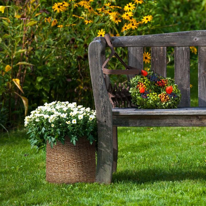 Image du produit Relaxdays Support de fléchettes