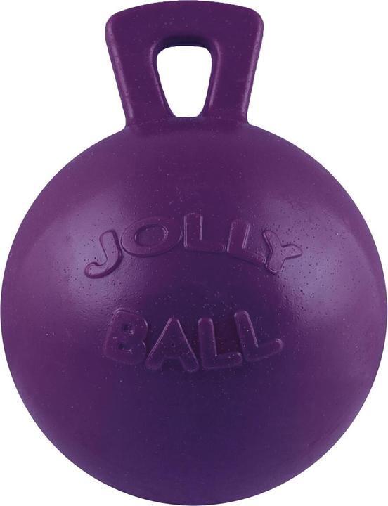 Immagine prodotto Jolly Pets Gioco per cani Tug-N-Toss