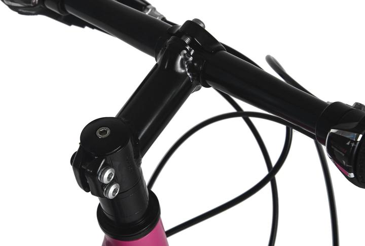 Actual product image WYLD Kinderfahrrad Girls 24" Mistral 18 Gänge RH 38 cm - Ab 8 Jahre (24")