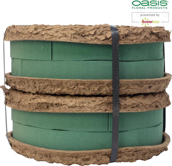Actual product image Oasis BIOLIT Ring