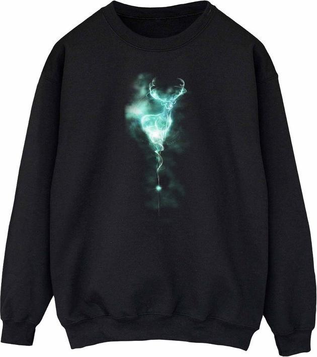 Produktbild Sweatshirt (XL)