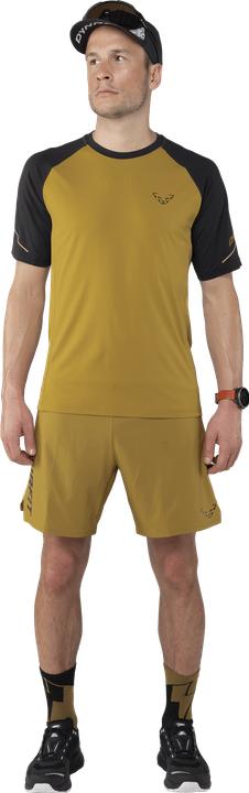 Produktbild Dynafit Alpine Pro M S/S Tee (52, XL)