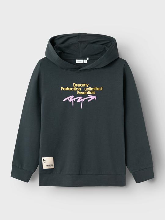 Produktbild Name it Bio-Baumwoll Hoodie (134, 140)