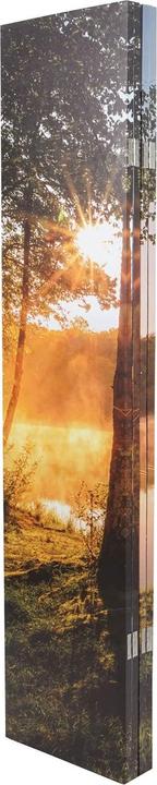 Actual product image Mendler Photo Paravent with Sound Insulation HWC-L55, Privacy Screen, 180x162cm Waldsee