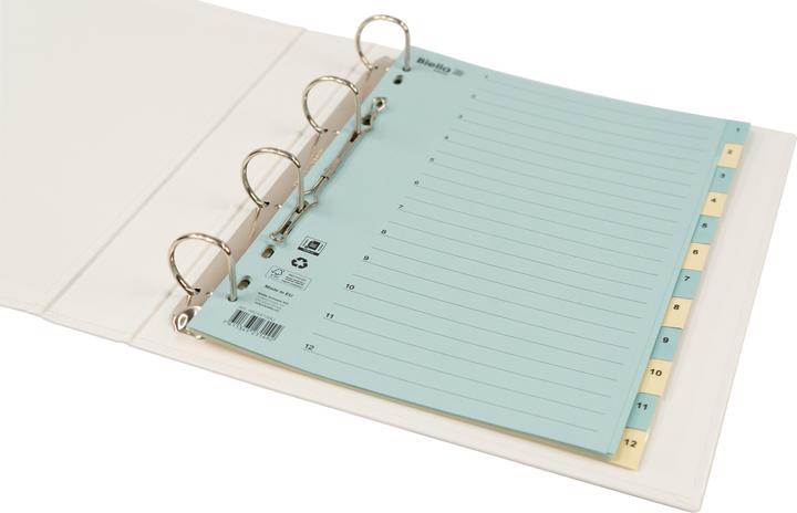 Produktbild Biella Register Karton farbig