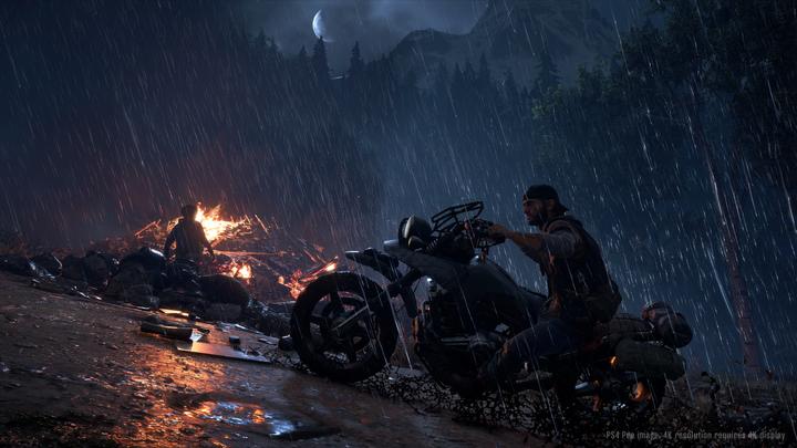 Actual product image Sony Days Gone (PS4, DE)