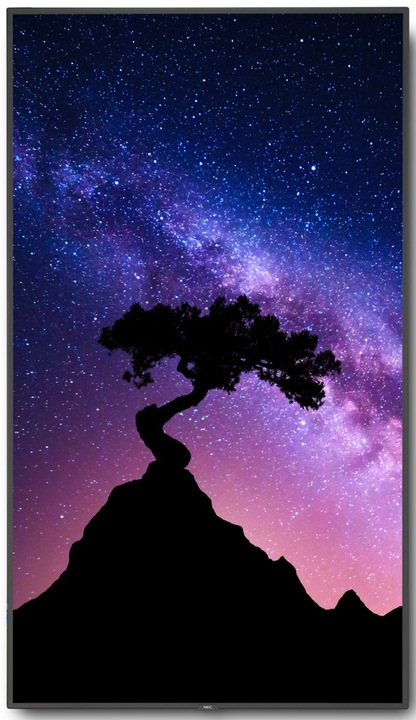 Image du produit NEC MultiSync V754Q (3840 x 2160 pixels, 75")