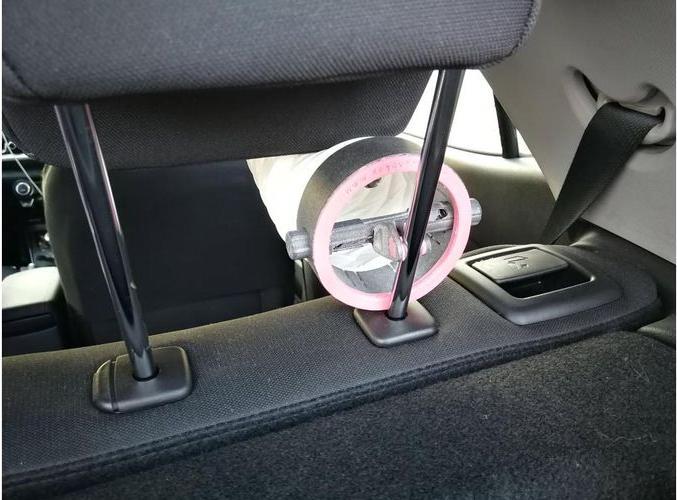 Actual product image Doggyfresh Air (Dog)