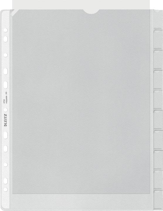 Leitz Registrazione maniche PP