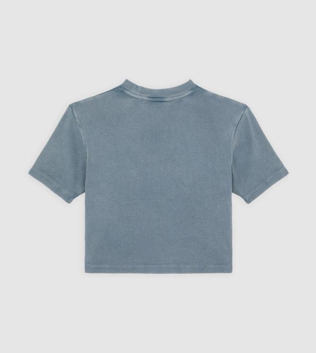 Produktbild Dickies Plentywood Tee Ss W Stormy Weather (XXS, XS, S, M, L, XL)