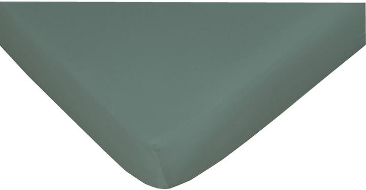 Green, Stone pine