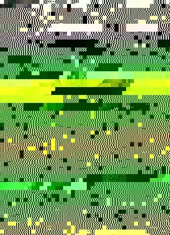 Produktbild Tanzen können auch die Steine (Deutsch, Hilde Heyduck-Huth, 2015)