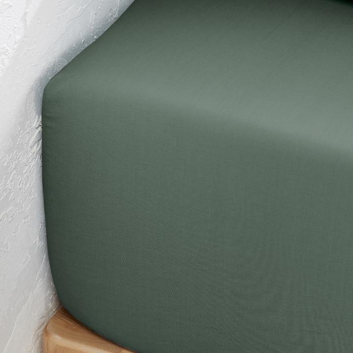 Actual product image La Redoute Interieurs Percale Bio (Pillowcase, 180 x 200 cm)