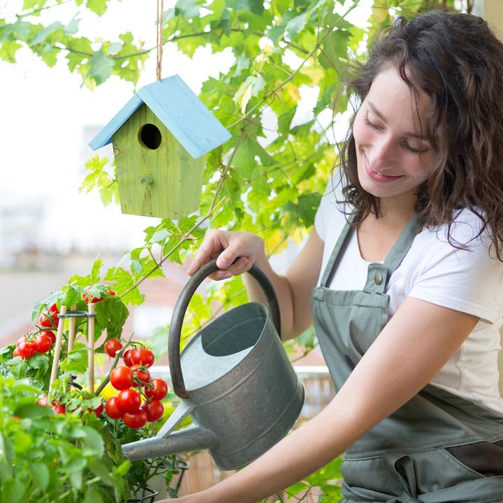 Immagine prodotto Relaxdays Deko Vogelhaus