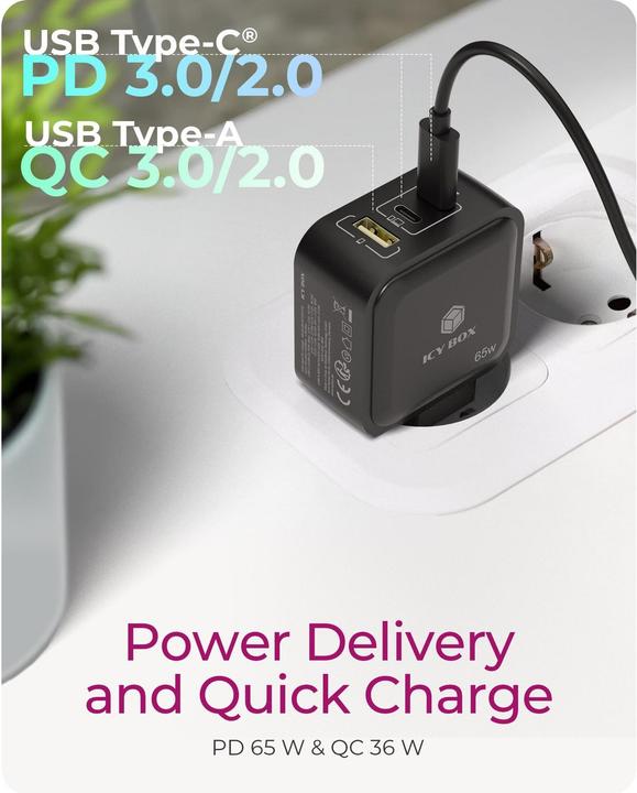 Immagine prodotto Icy Box IB-PS1030-PD (65 W, 3 porte)