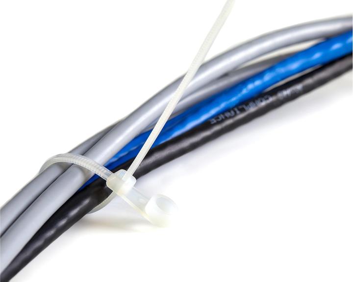 Actual product image StarTech 10cm(4") Cable Ties with Mounting Hole, 2mm(1/16") wide, 24mm(7/8") Bundle Dia. (Plastic cable ties, 3 mm, 100 pcs.)