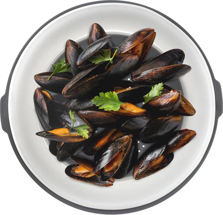 Actual product image Jata HACC4530 (26 cm, Plastic)