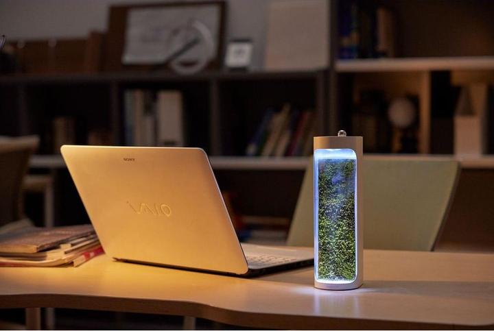 Actual product image Mosslab Air Humidifier Moss white