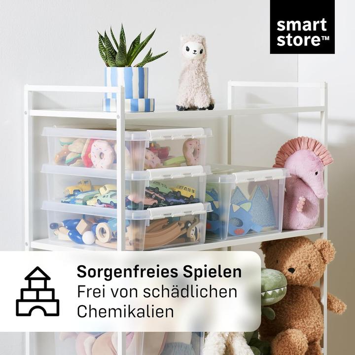 Actual product image Smartstore Storage box (25 cm, 8 l, 10x)
