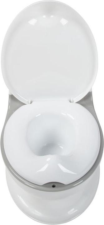 Actual product image Baby Dan Children's potty with flushing sound