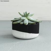 Produktbild Rayher Giesspulver "Raysin 250 Black"