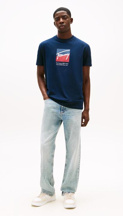 Actual product image Tommy Jeans Tjm Reg Rwb Dna Tee (M)