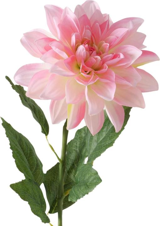 Image du produit Boltze Home Fleur de tige (12 cm)