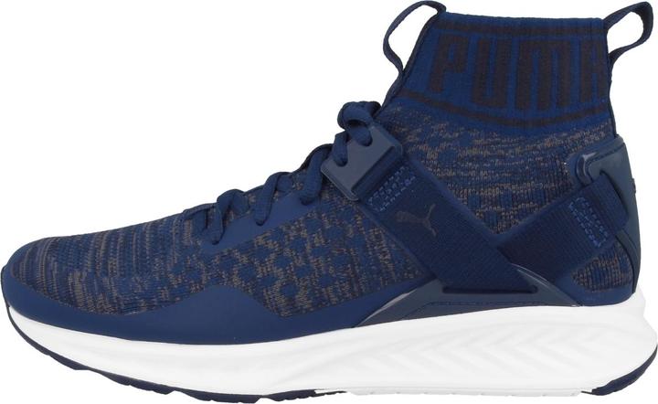 Image du produit Puma IGNITE evoKNIT (43)