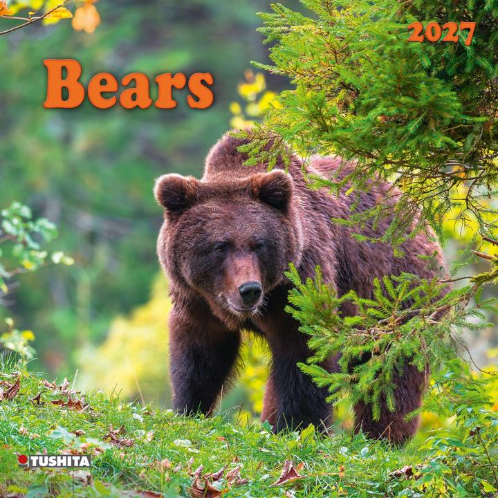 Produktbild Bears 2027