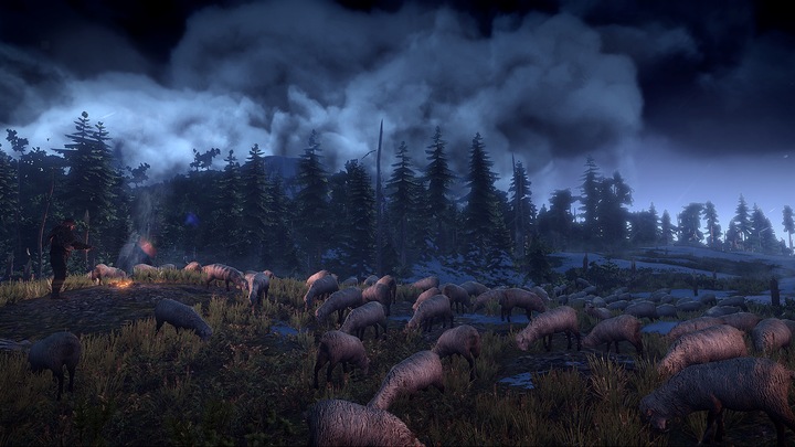 Immagine prodotto The Witcher 3 : Wild Hunt