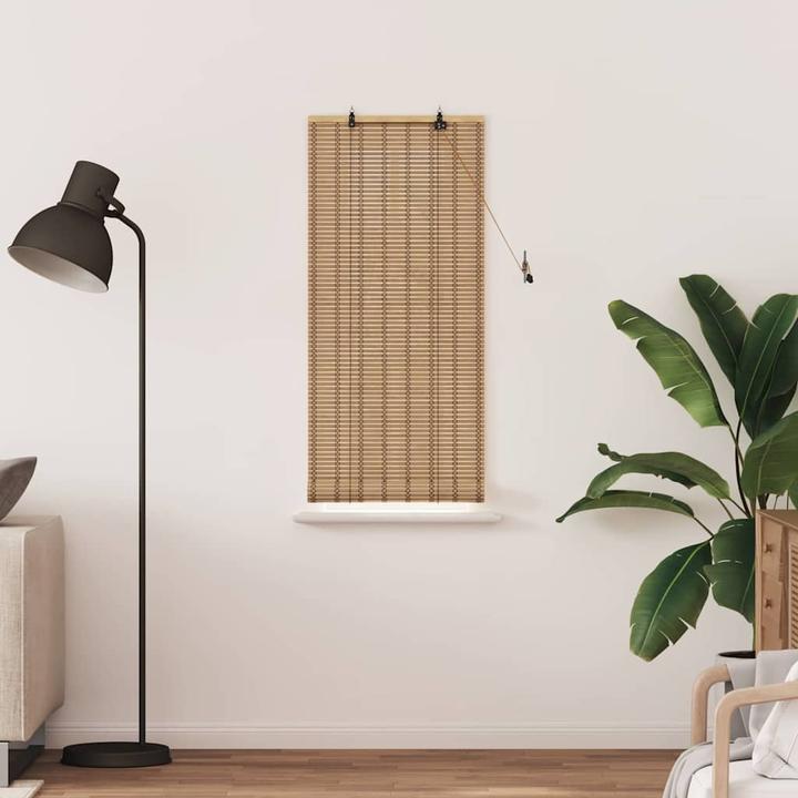 Immagine prodotto VidaXL Tende per finestre (60 x 160 cm)