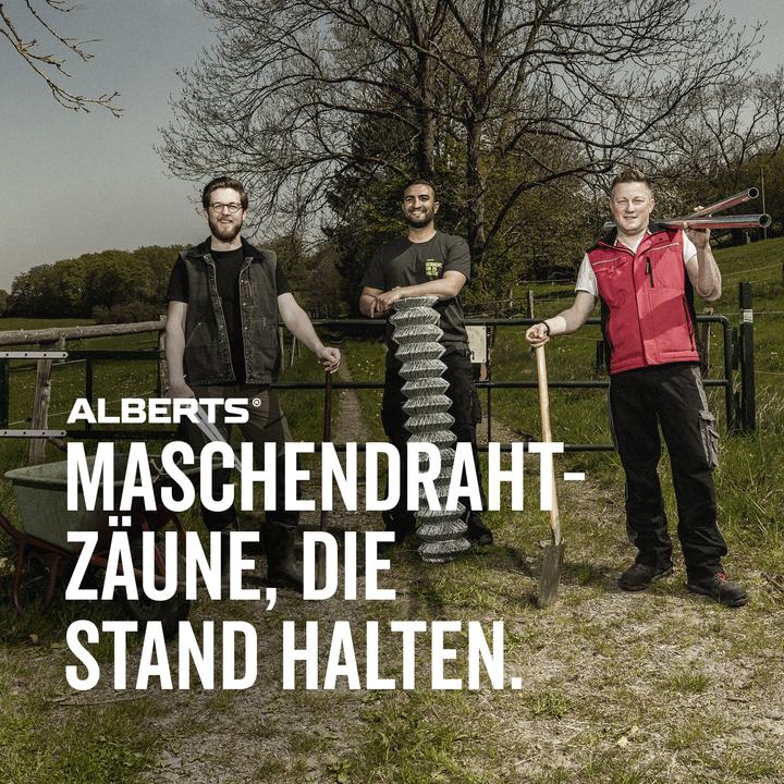 Produktbild Alberts Maschendrahtgeflecht 25m