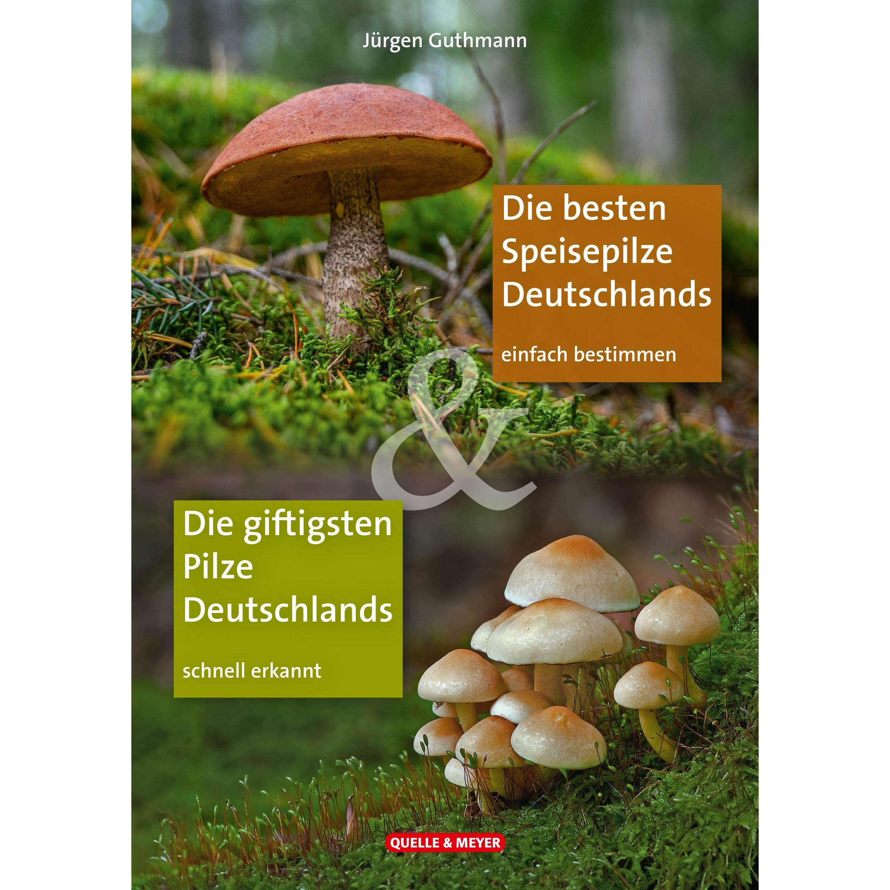 Die besten Speisepilze & Die giftigsten Pilze Deutschlands, Ratgeber von Jürgen Guthmann