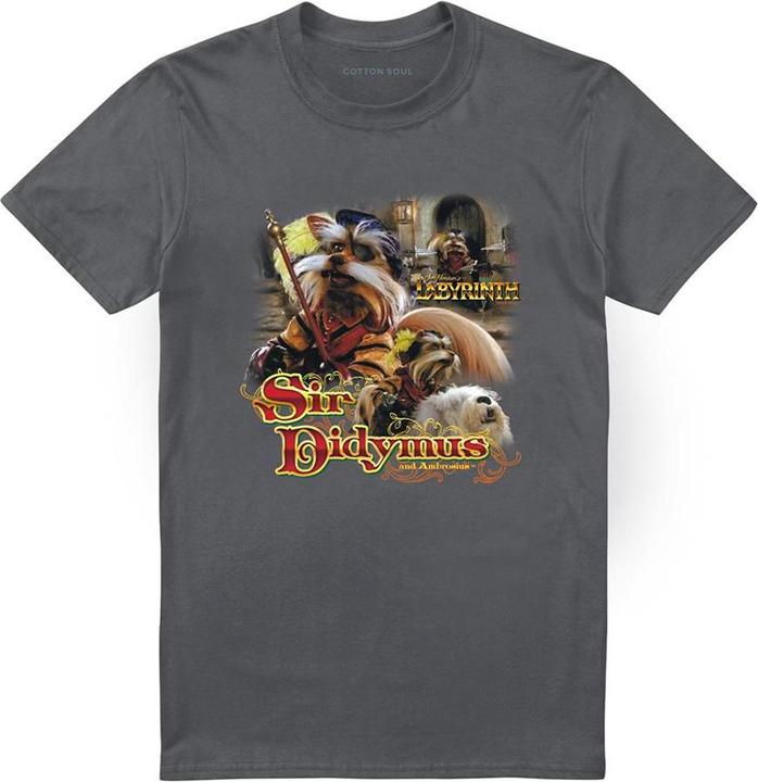 Produktbild TShirt (S)