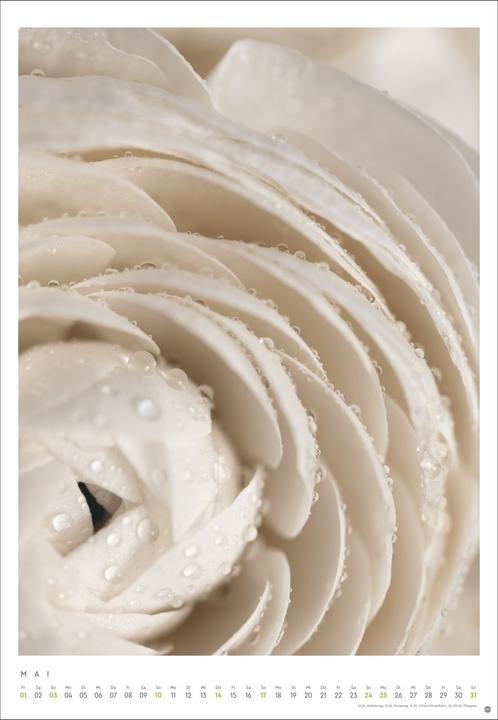 Actual product image Mareike Böhmer: pure & simple Kalender 2026 (Hardcover, German)