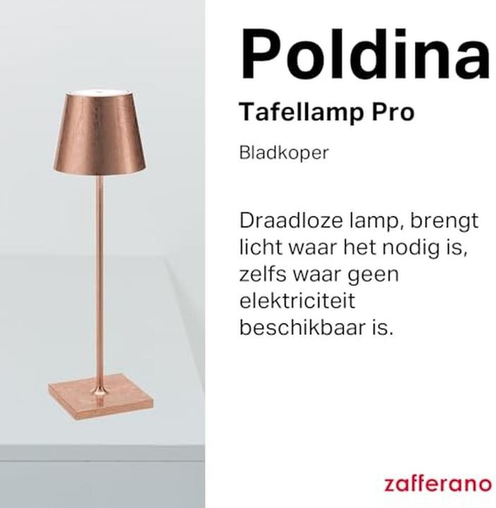 Actual product image Zafferano Poldina Pro (200 lm)