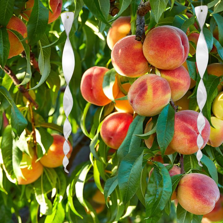 Immagine prodotto Relaxdays Spirale repellente per uccelli