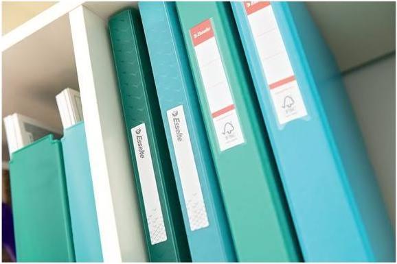 Immagine prodotto Esselte Colour'ICE Sichtbuch A4 60 Blatt (A4, 1x)