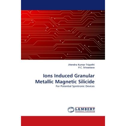 Ions Induced Granular Metallic Magnetic Silicide, Fachbücher von Jitendra Kumar Tripathi, P. C. Srivastava