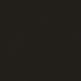 Immagine prodotto Talens Finitura Ecoline (Grigio scuro, 30 ml)