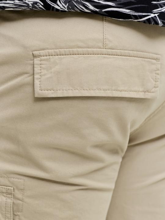 Image du produit Jack & Jones Jpstcole Frank Cargo Short Mid Sn Pls (48)