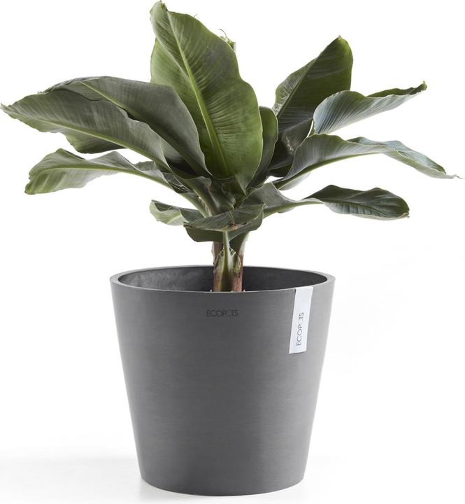 Actual product image Ecopots Amsterdam (30 cm)