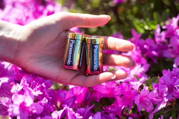 Produktbild Panasonic Pro Power (2 Stk., C, 9360 mAh)